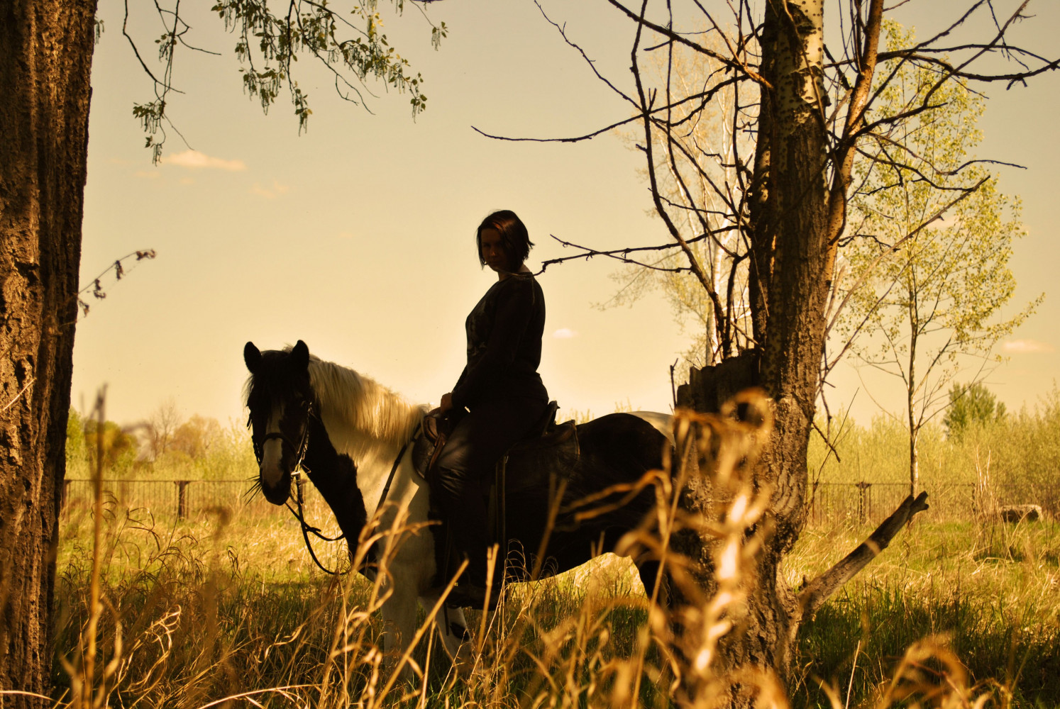 Конная прогулка в хвойном лесу. Фото: activilla.com